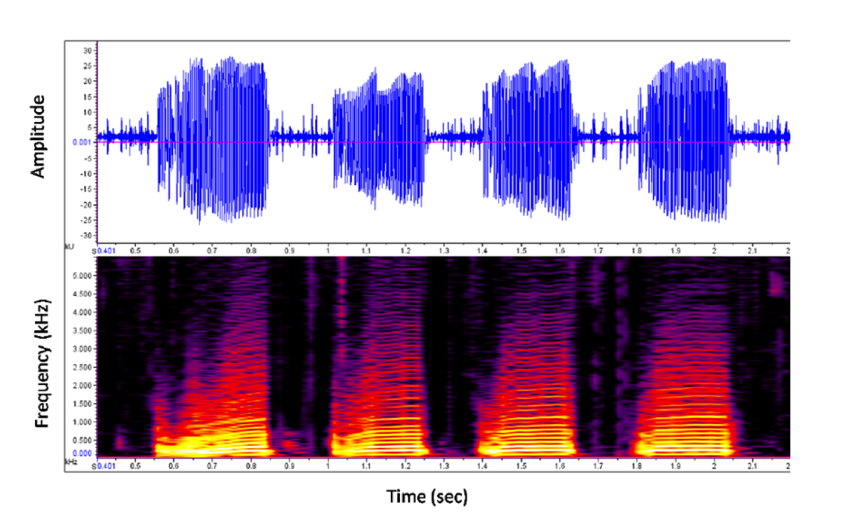 Environmental Sound Classification Project
